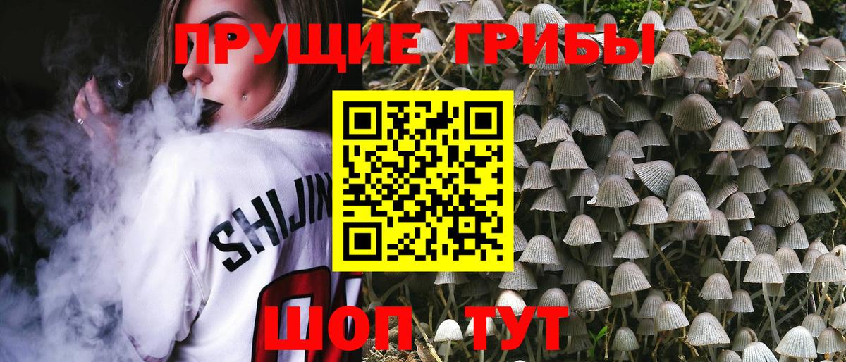 Берёзовский  Галлюциногенные грибы Cubensis  Вход с VPN 